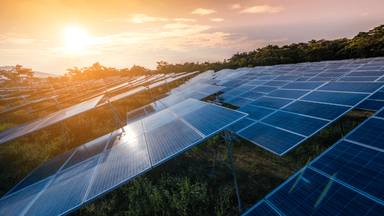 Alternus Clean Energy and Acadia Energy Collaborate on the Development of 200 Megawatt Microgrid Projects in New York State