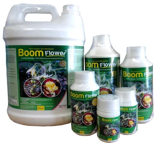 Horticultural farmers double yields with crop energizer