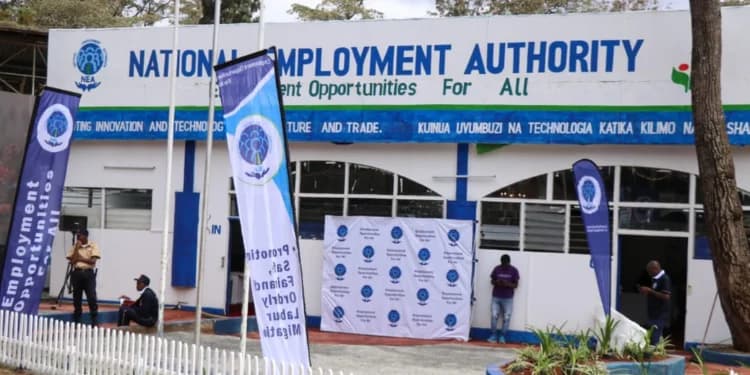 How Thousands of Kenyan Job Seekers Are Finding Work Through NEAIMS: How to Apply