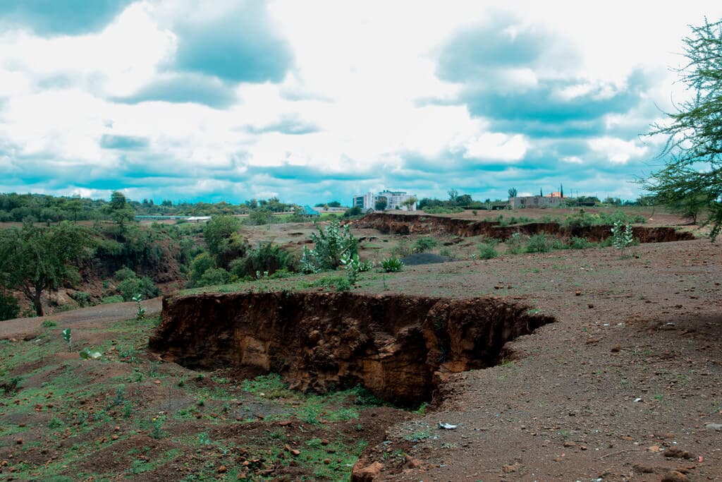 Half of Kenyan land at risk of degradation lowering crop yields