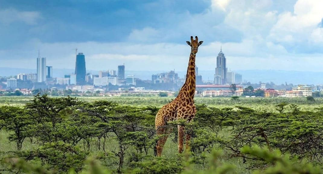 Kenya Drops Further in Global Corruption Rankings, Now 130th Worldwide