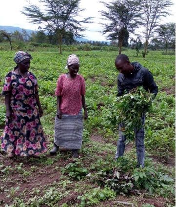 Local NGO helps over 50,000 farmers’ countrywide save and access chemical free seeds