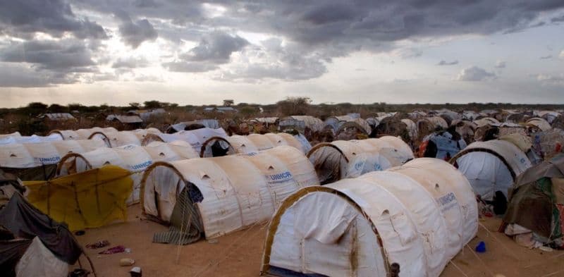 Fourfold Increase in the Number of Asylum Seekers in Kenya, Figures Show