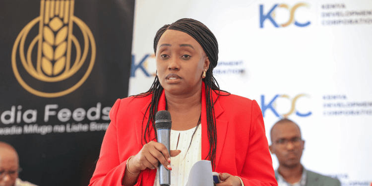 Kenyan CEOs Endorse Move to Create New Rules for Development Finance Institutions