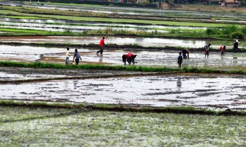 From Conflict to Cooperation: How Farmers Are Reimagining Agriculture in a Changing Climate