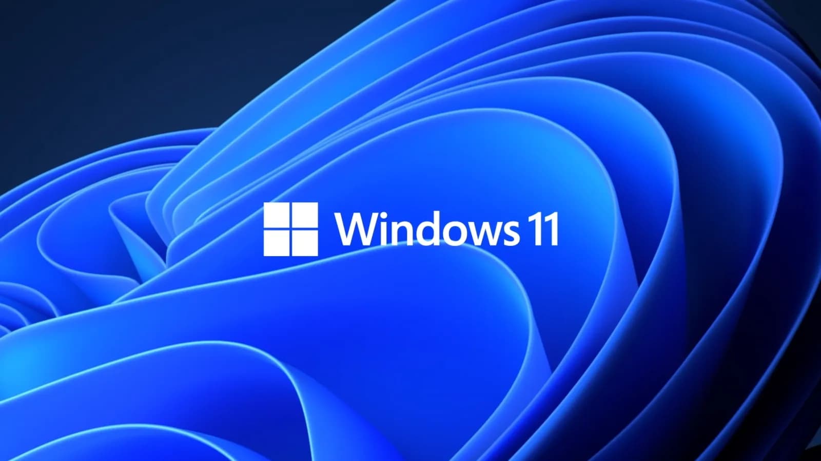 Windows 11 Photos App Now Uses AI to Organize Your Images