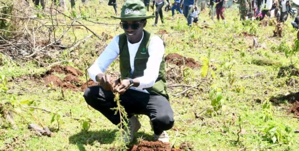 Can He Beat 23,060 Trees? Kenyan Environmentalist Launches Guinness World Record Tree Planting Attempt