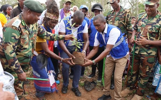 Environmental stakeholders turn to community forest associations to rescue endangered forests in Kilifi
