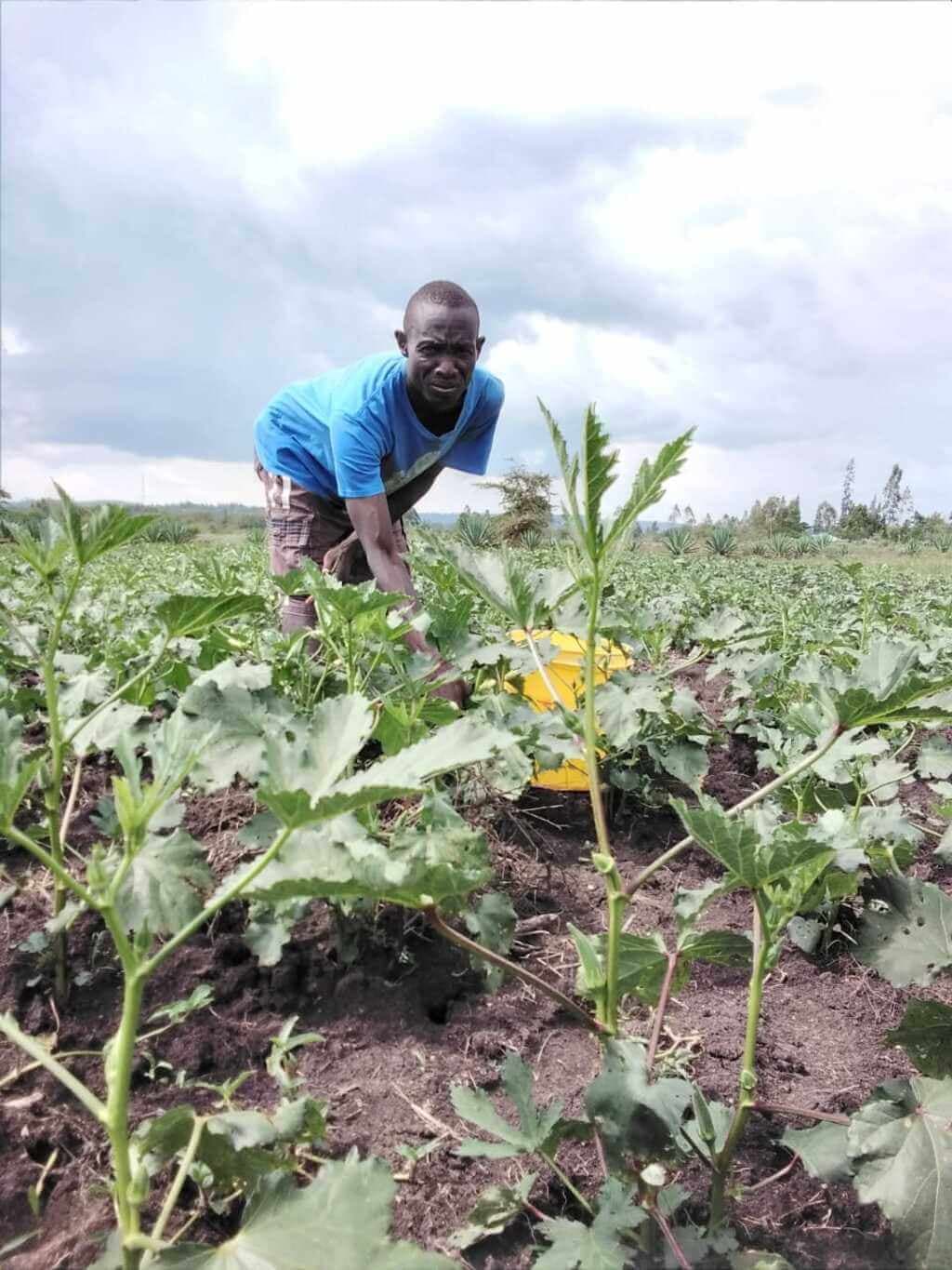 Farmers growing high-value crops earn five times more than traditional crop farmers