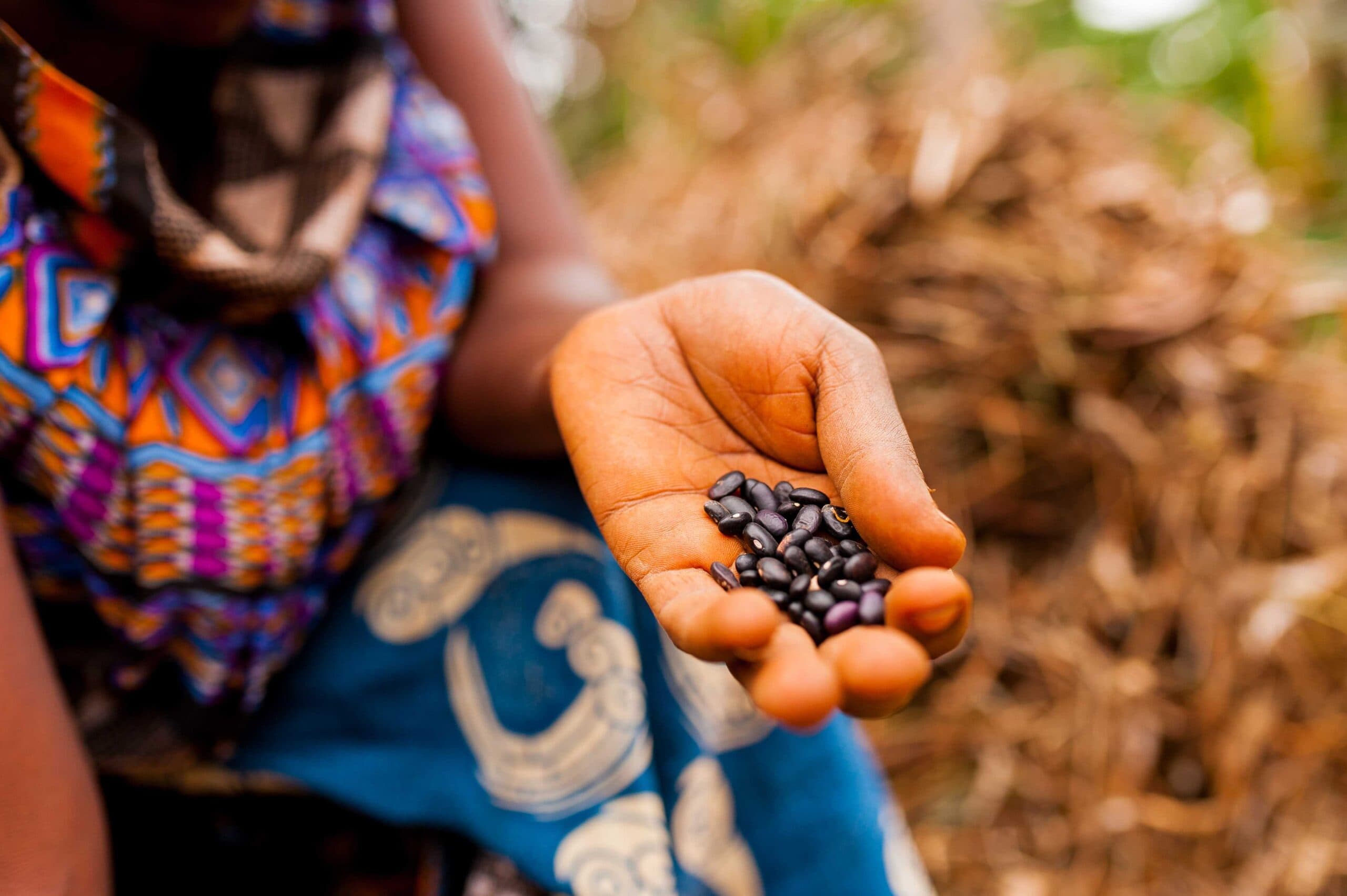 USAID invites applicants for Sh600 million African agriculture grant
