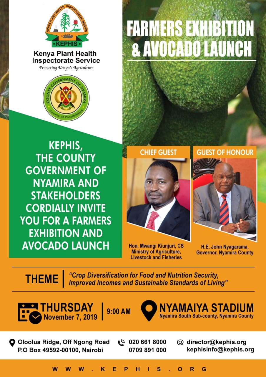 Government to launch avocado farming in Nyamira for production and income diversification