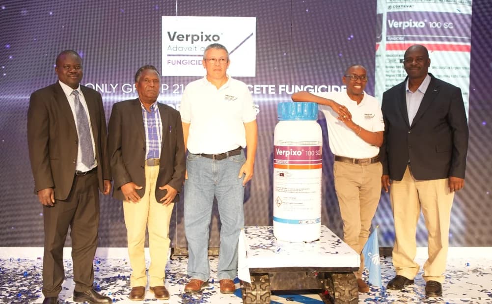 Kenya Authorises Novel Fungicide Aimed at Strengthening Rose Export Quality