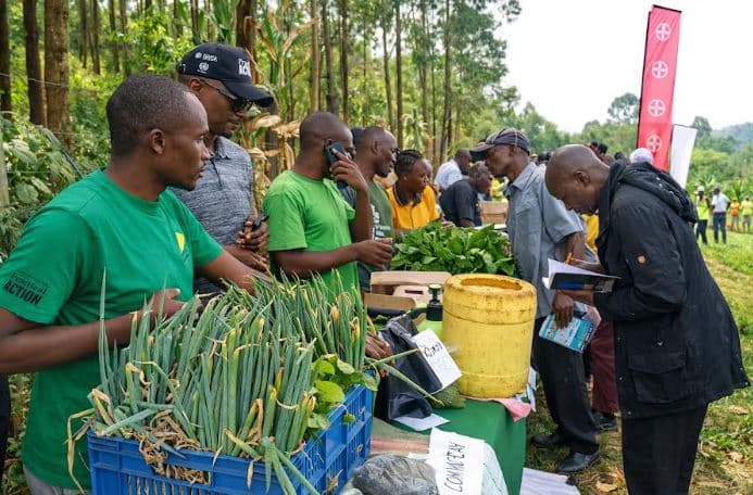 Ematete farmers’ field day promotes climate-smart agriculture innovation