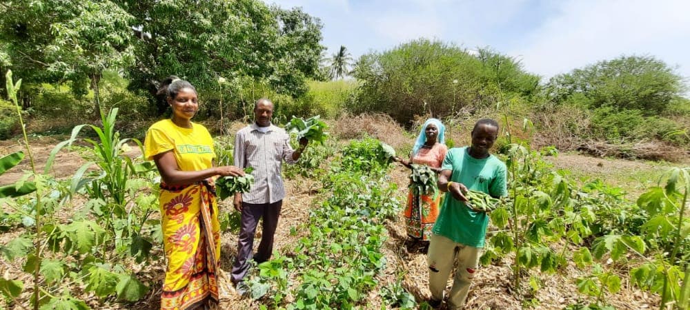 Poor Kenyan farmers adopt digital currency to raise their economic output