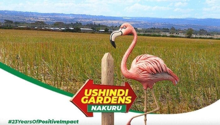 Project Updates: What is Happening at Ushindi Gardens – Nakuru.
