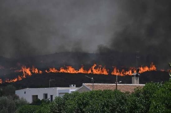 At least 12 dead and 23 missing in wildfire in southern Spain