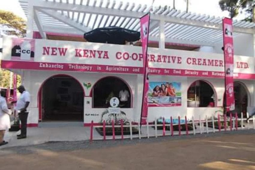 Milk processor to buy more milk from farmers as it upgrades its plants