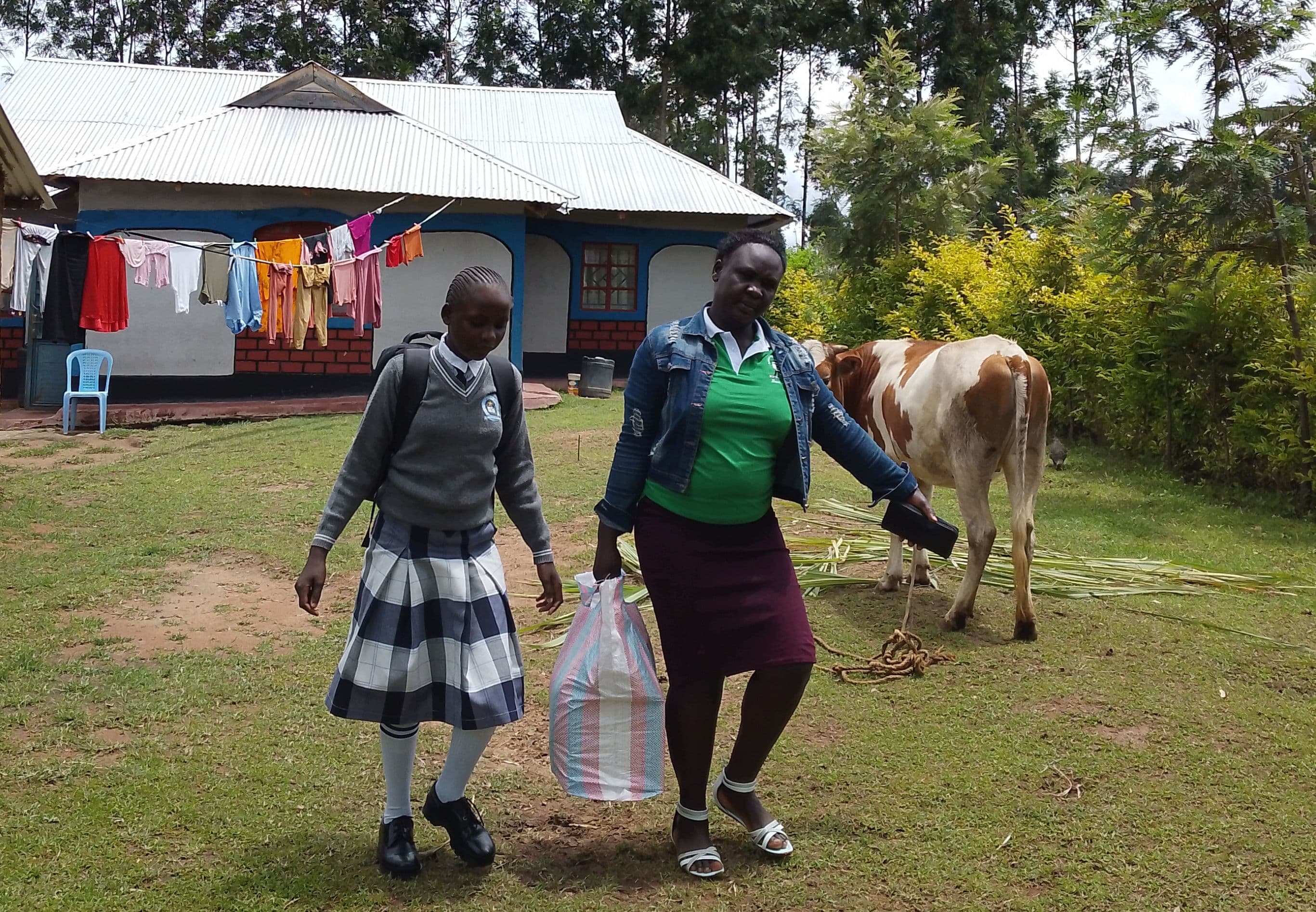 Renewed calls for strict safety precautions in schools