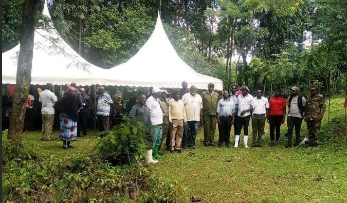 Ketraco launches major tree-planting drive to restore Wire Forest