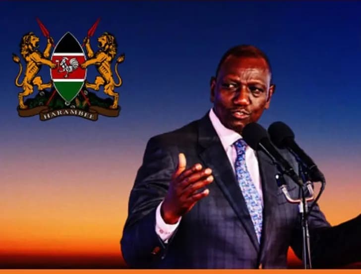 Ruto’s Govt Plan to Increase Diaspora Remittances to ksh 1 Trillion