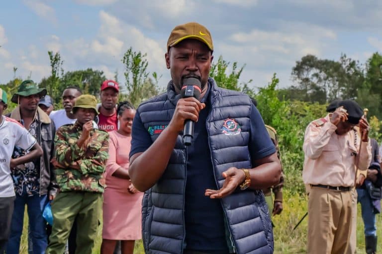 Bomet intensifies efforts to restore degraded Chepalungu Forest