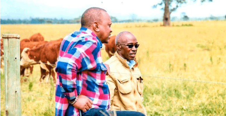 Inside Uhuru’s high-end livestock farm: How much cattle, sheep, and goats cost