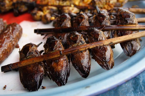 Cockroach milk could be the protein ingredient you have been missing