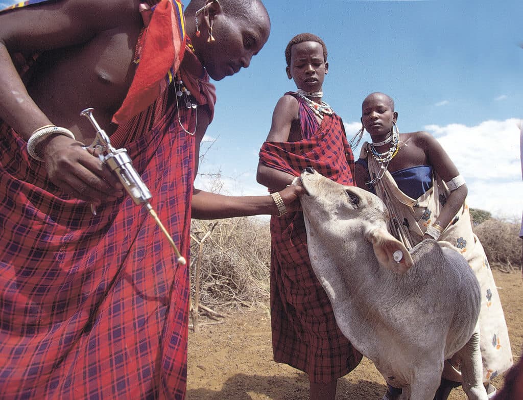 Roundup of agriculture jobs in Kenya– 27th January, 2025