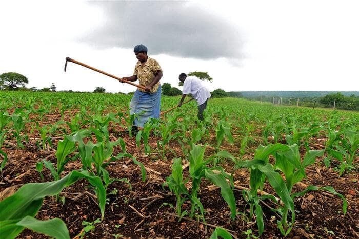 Farmers urged to prepare for October-December short rains