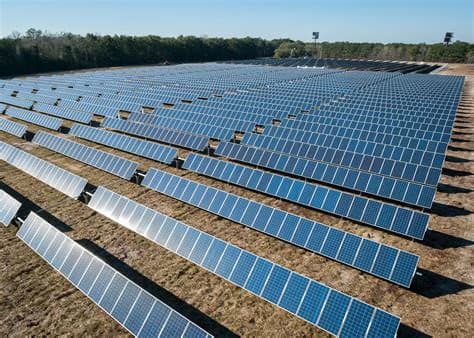 A Look at the US$100 Million Dalia Solar Farm Project in Puebla, Mexico