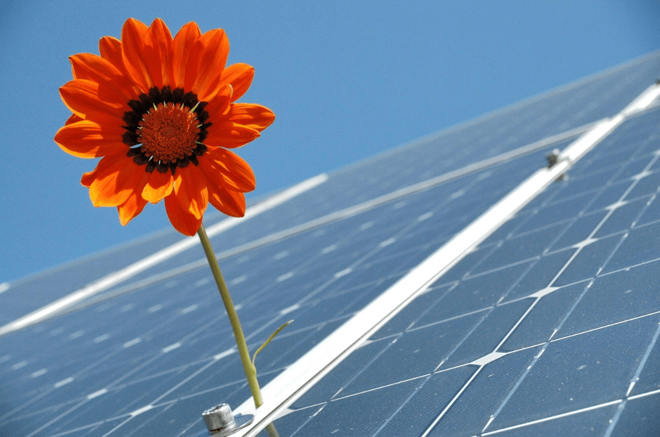 Discover How a Solar Source Can Enhance Your Property’s Value Today