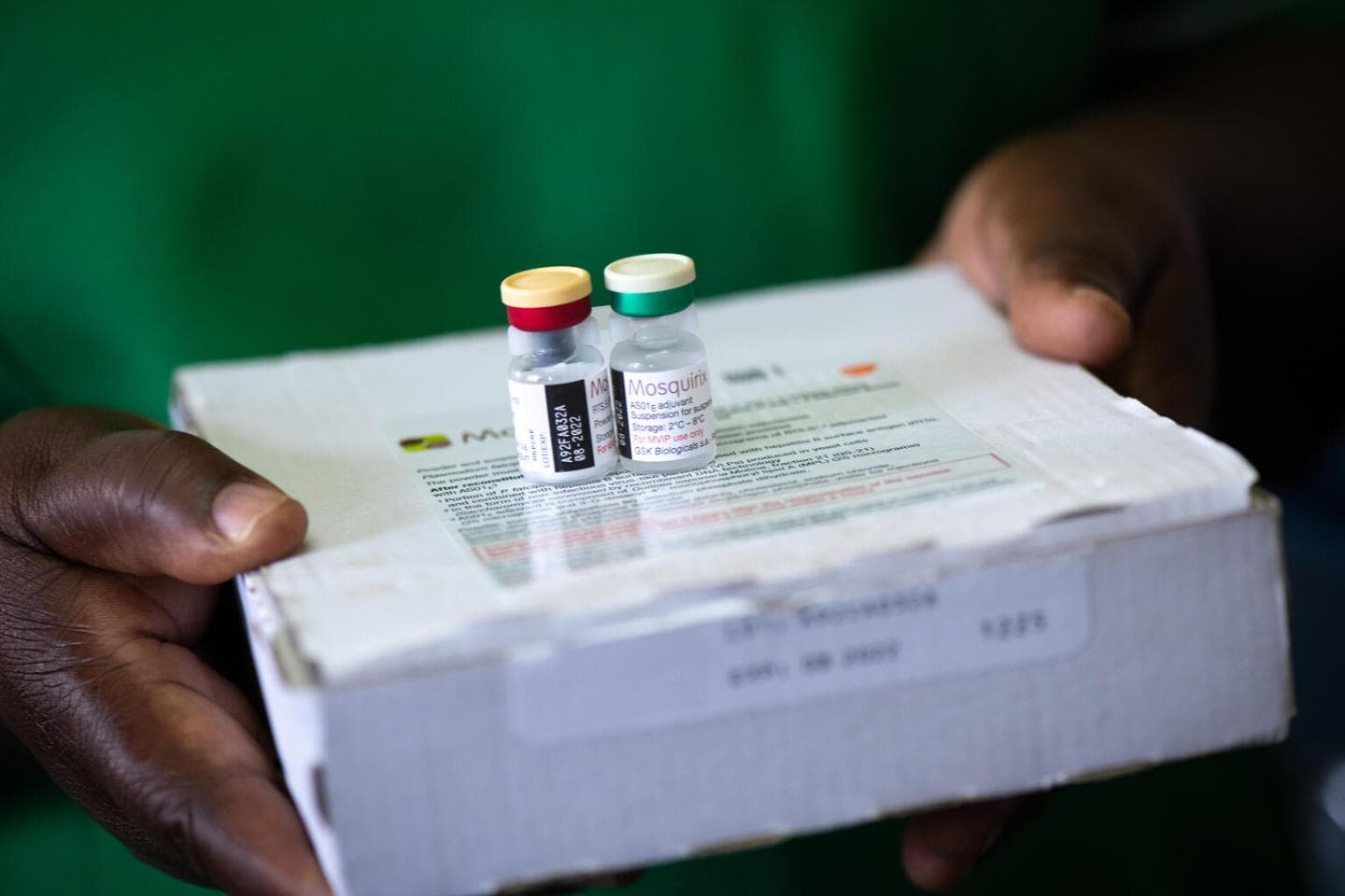 Study: Artesunate remains effective against severe malaria in children despite resistance concerns