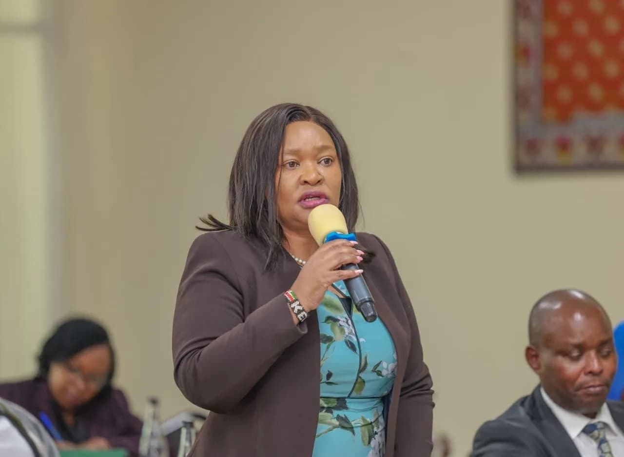 Ministry proposes separation of tourism levy collection and funds management