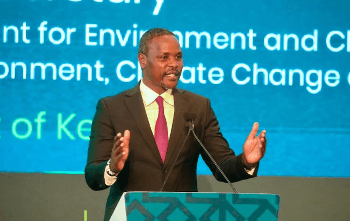 Green investment, citizen action key to Africa’s sustainable future