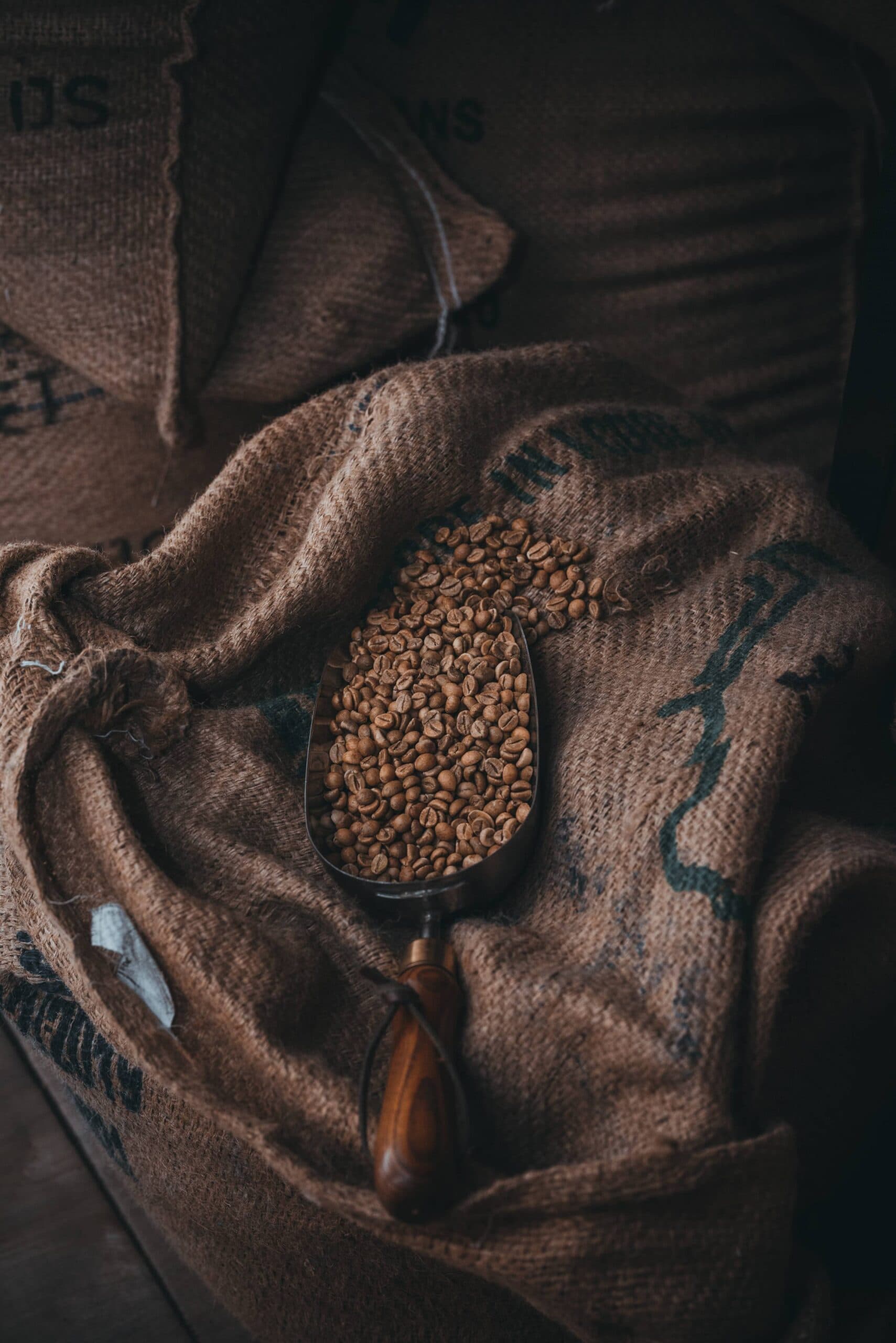 Farmbiz competition: Sack farming innovators