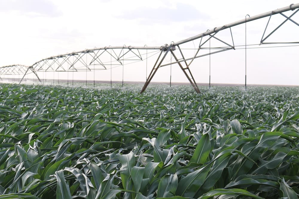 State Targets 6 Mega Dams, 2M Acres of Irrigation in Food Security Push