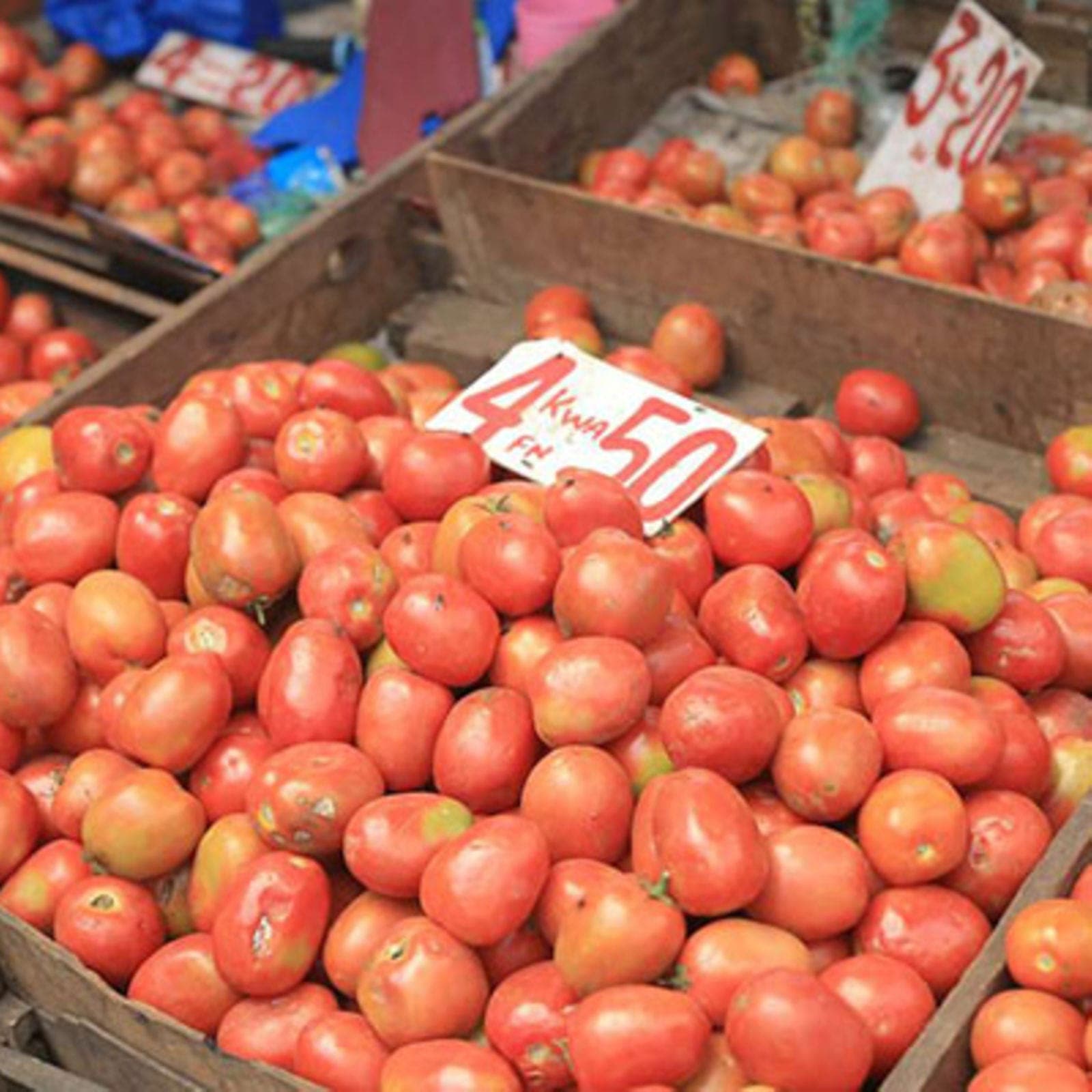 Farmer restores ¼ of tomato crops lost to spoilage by load-sharing transport with neighbours