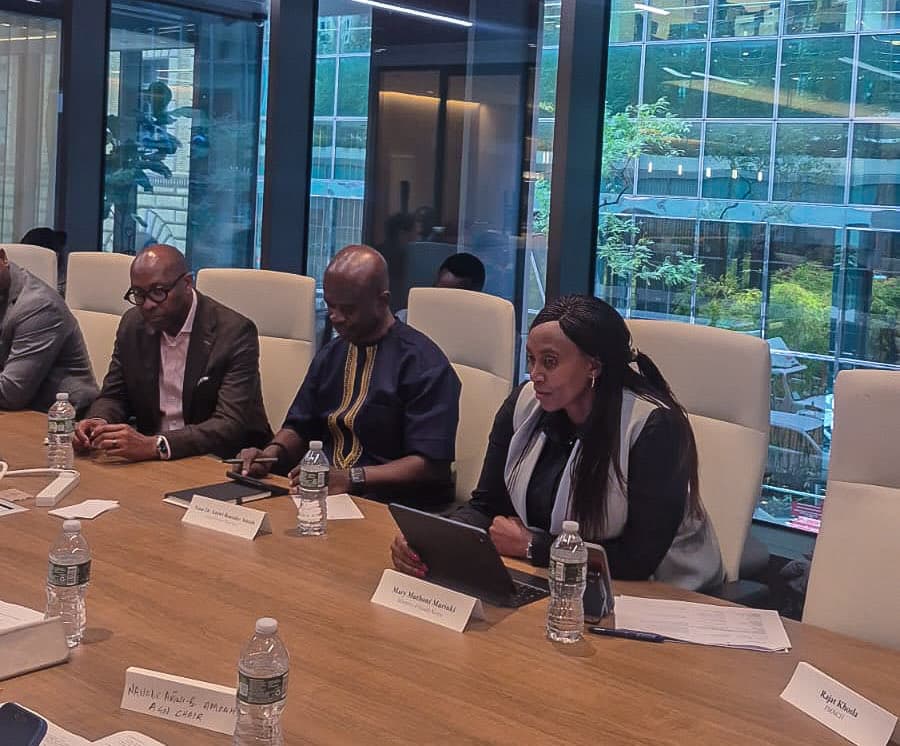 Kenya calls for predictable investment in climate resilient primary healthcare