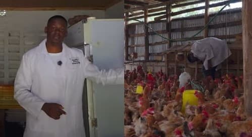 Brian: 26-year-old UoN graduate with 1,200 chickens, producing 2,800 chicks per week