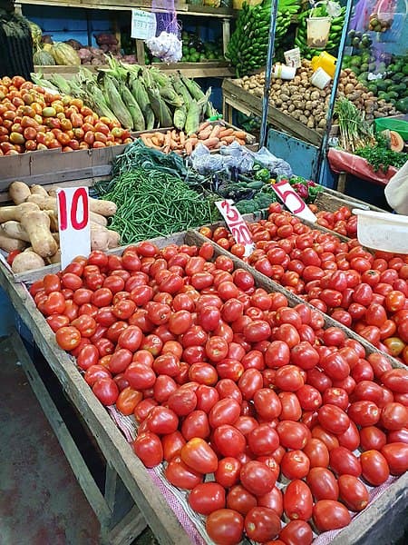Sh10 for 1 tomato too high?: Why prices are poised to rise further