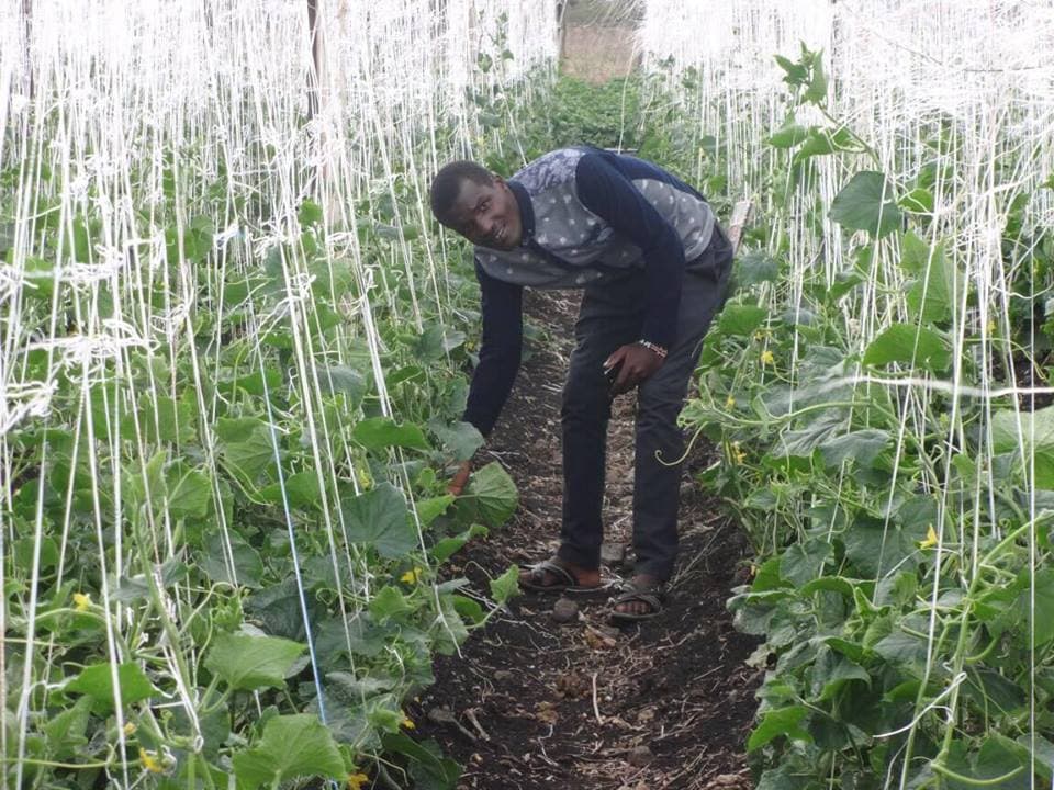 Agronomist saving part-time farmers investment losses