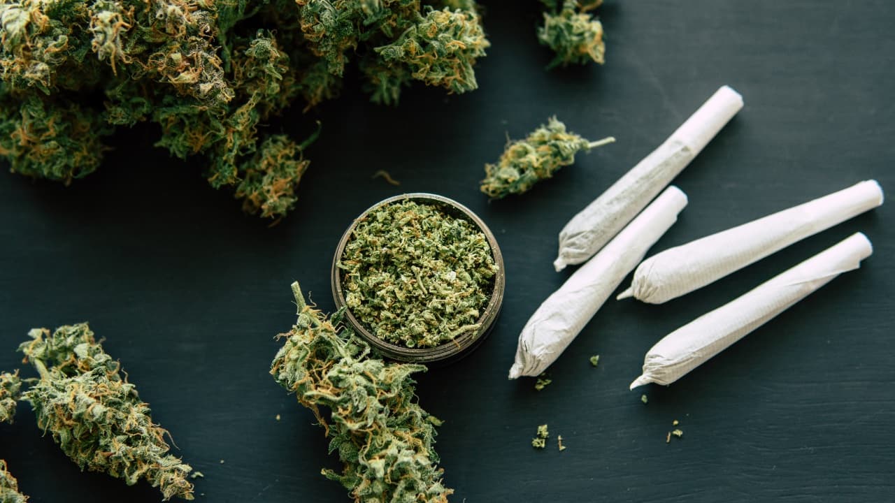 Two Women Arrested After Police Seize Bhang Worth Sh288,000 in Narok