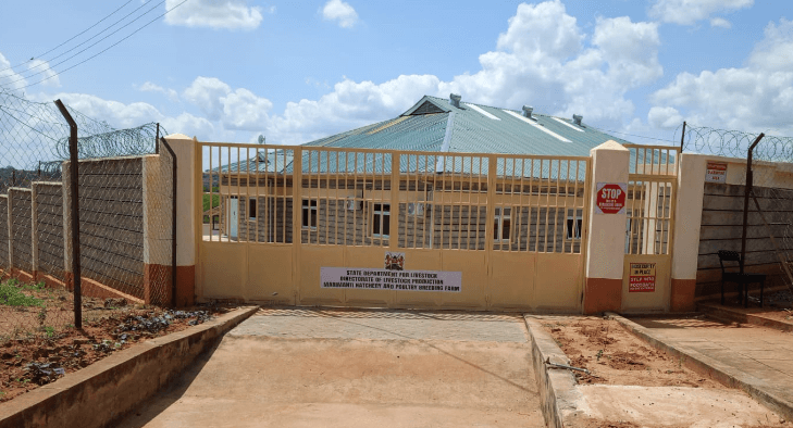 Marimanti hatchery to boost poultry production, farmers income