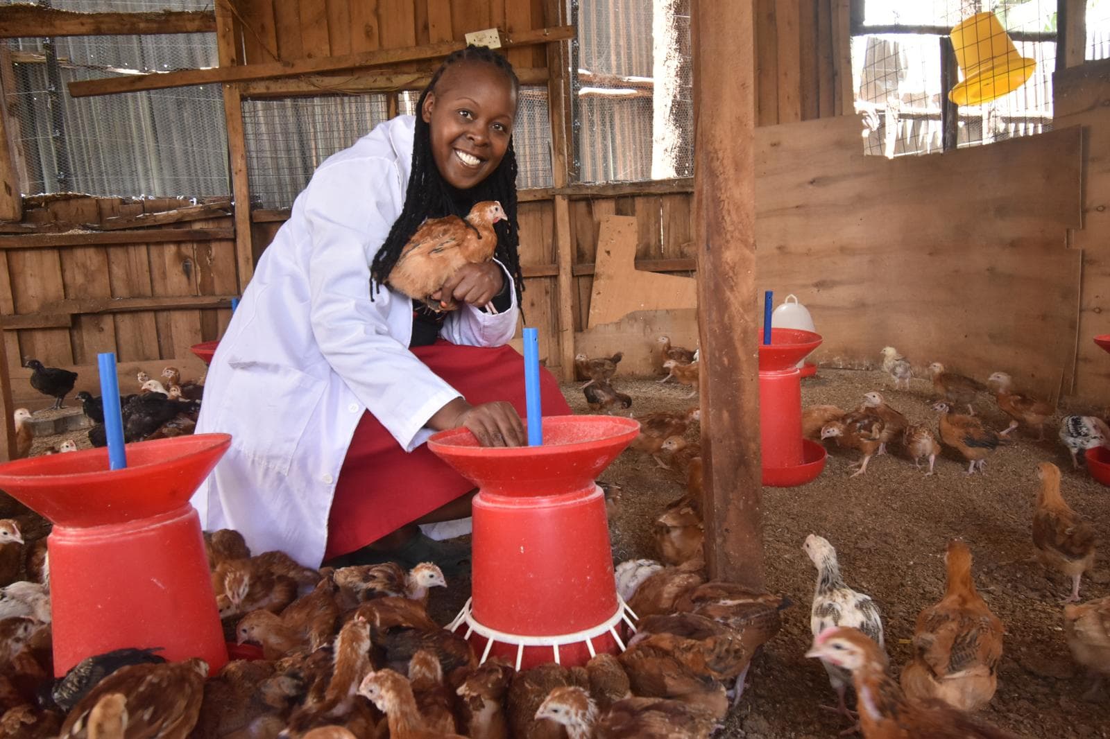 Kuroiler champion mentors marginalised smallholders to swift income raise with poultry
