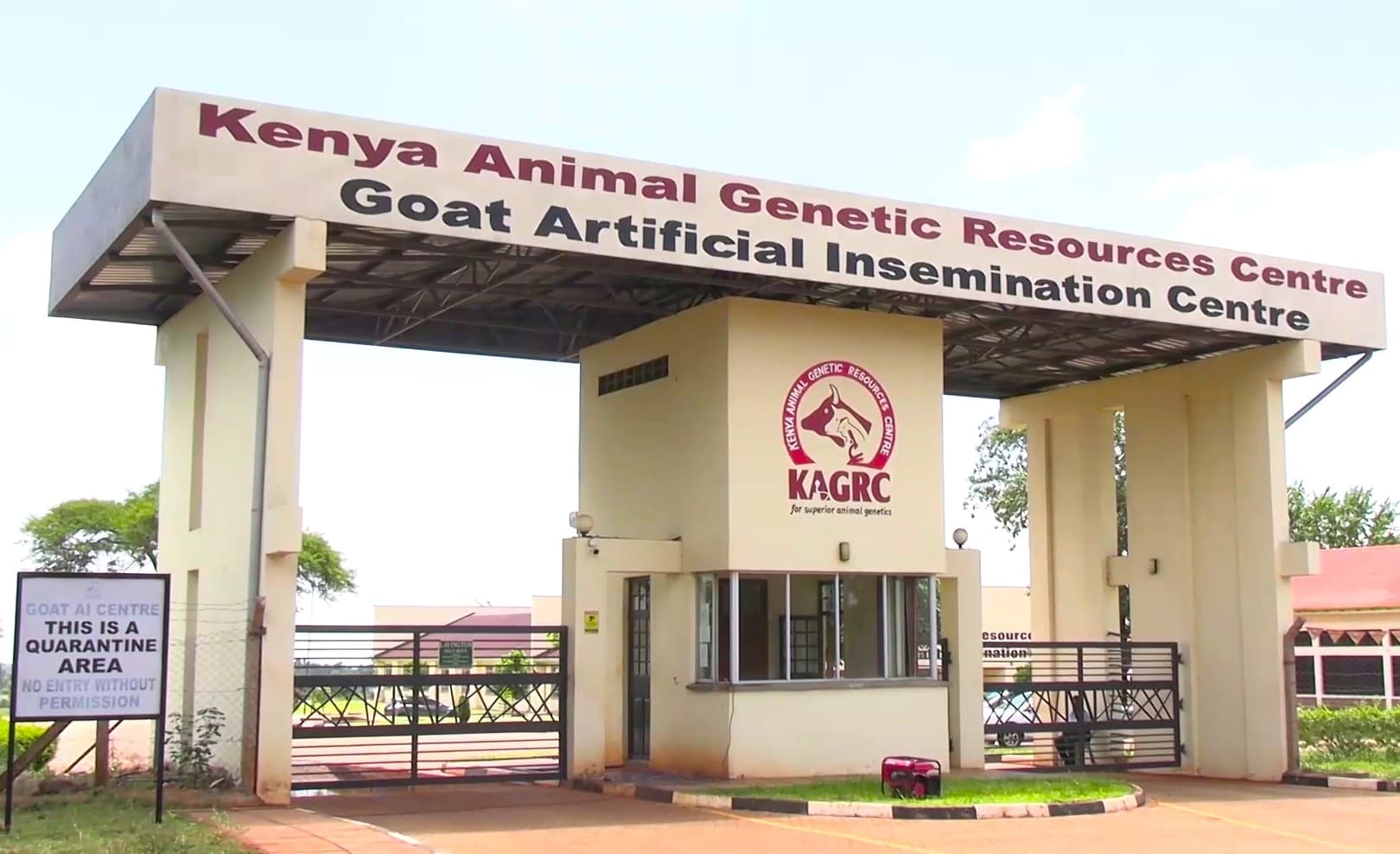 Kirinyaga dairy goat farmers reap big from KAGRC Artificial Insemination Centre