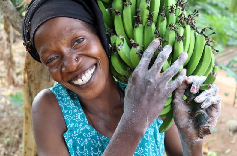 How to make agribusiness work for women