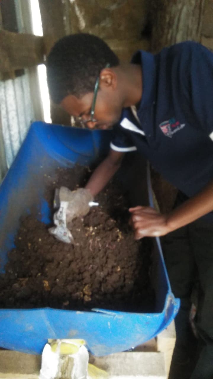 Redworm rearing promises better income for undergraduate