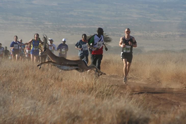 Lewa Marathon 2025 to be on June 28 as it celebrates 25 years of existence