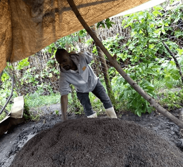 Best manure handling practices for maximum crop production