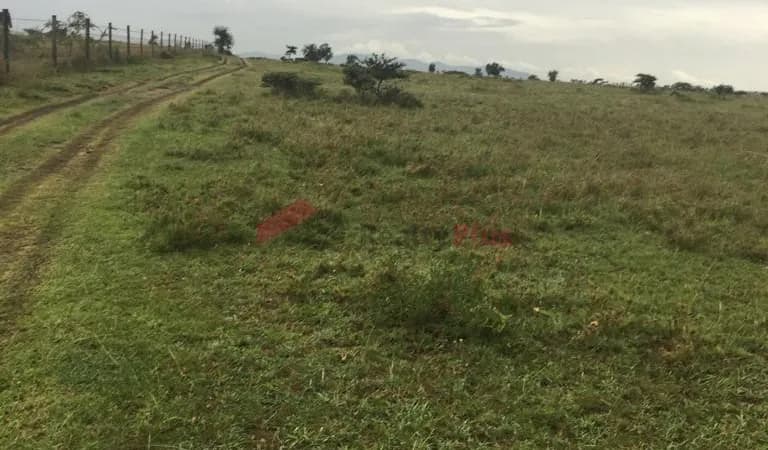 Owning land made easier: How NCBA is changing lives with plot financing